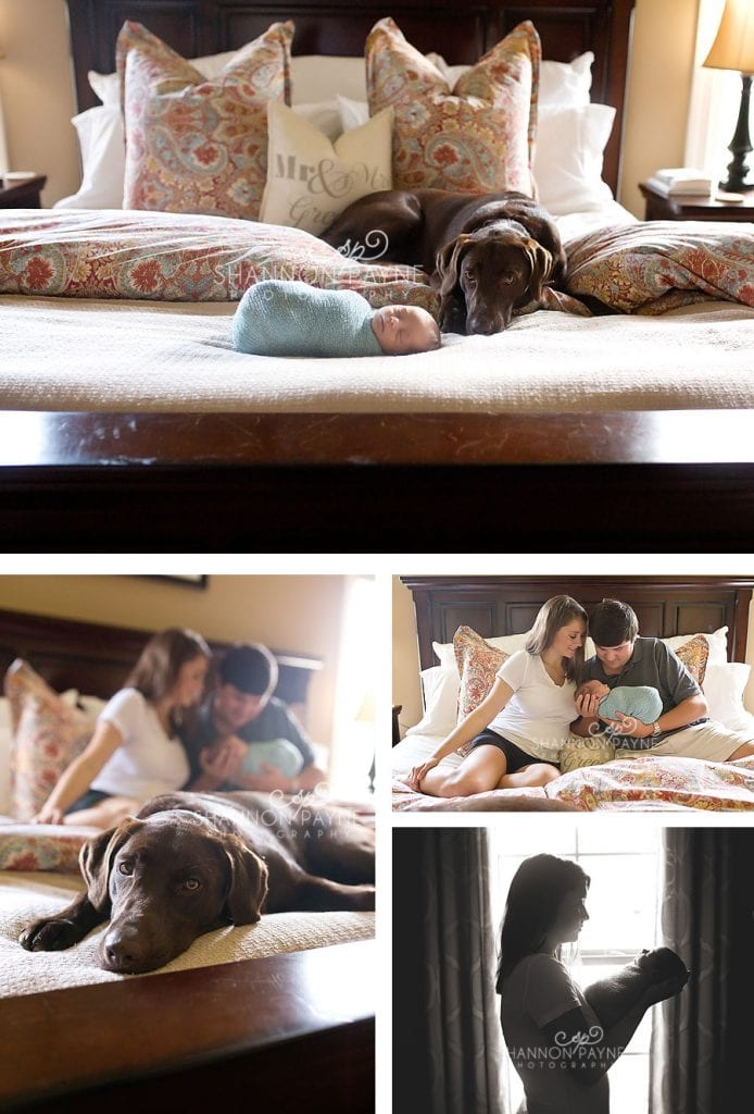  George's Lifestyle Session | {Hendersonville Gallatin Newborn Photographer}