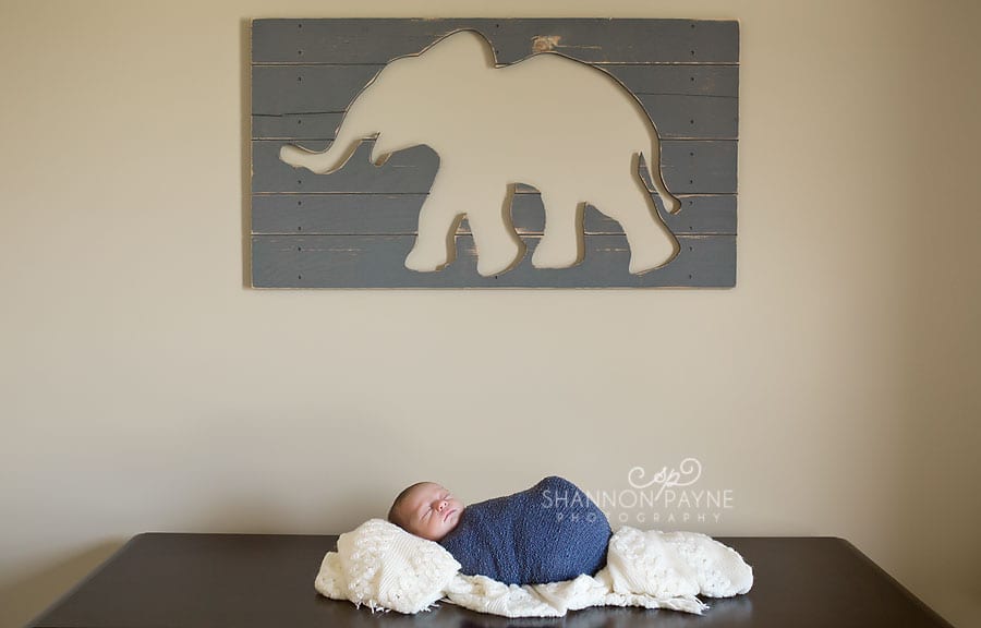  George's Lifestyle Session | {Hendersonville Gallatin Newborn Photographer}
