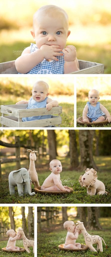 Brooks 6 Months| {Brentwood Nashville Baby Photographer}