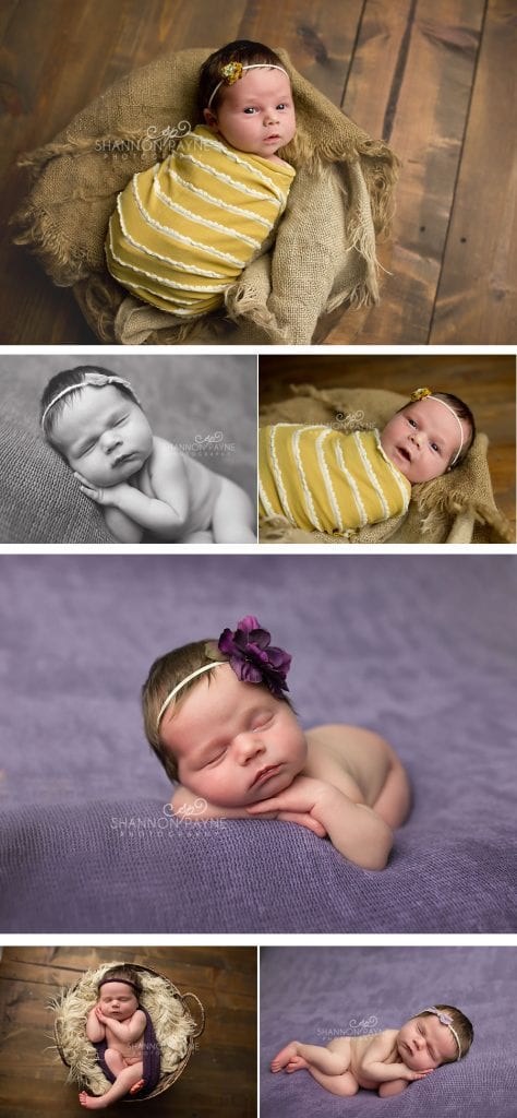 Shannon Payne Photography | Nashville Newborn Photographer