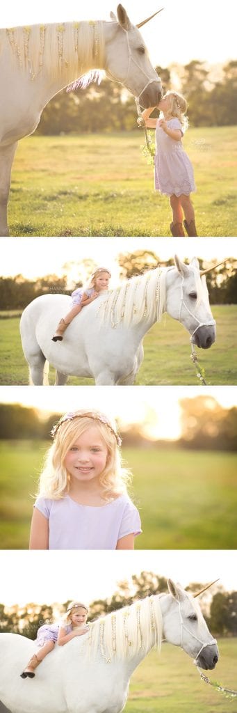 Nashville Photographer Unicorn Fairytale Session