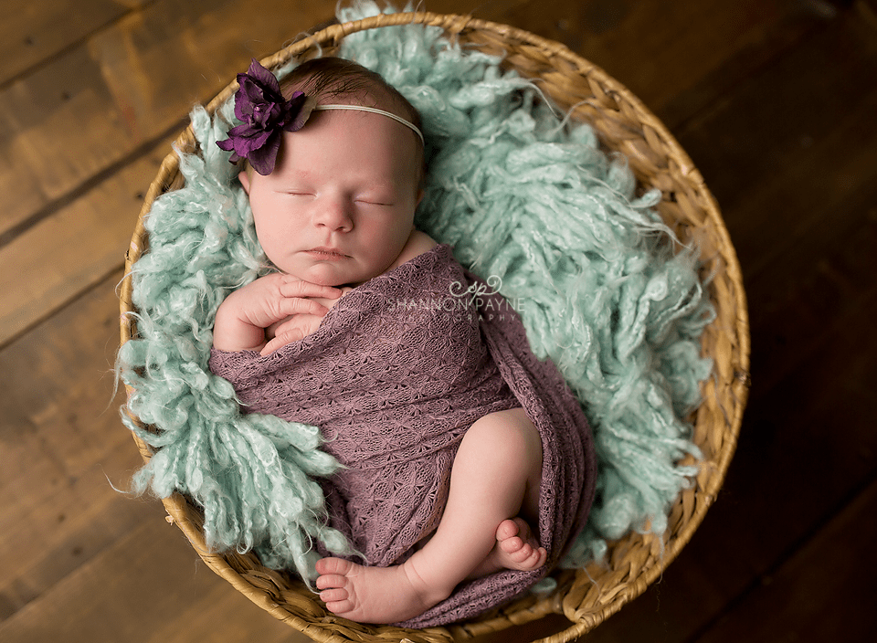 hendersonville newborn