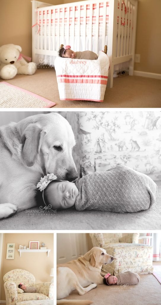 Nashville Hendersonville Newborn Photographer | Aubrey
