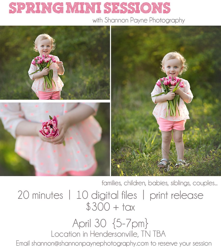 Nashville Spring Mini Sessions