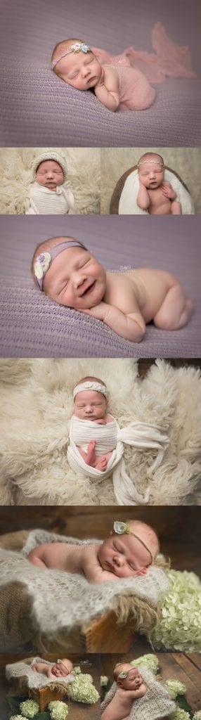 hendersonvillenewbornphotographer