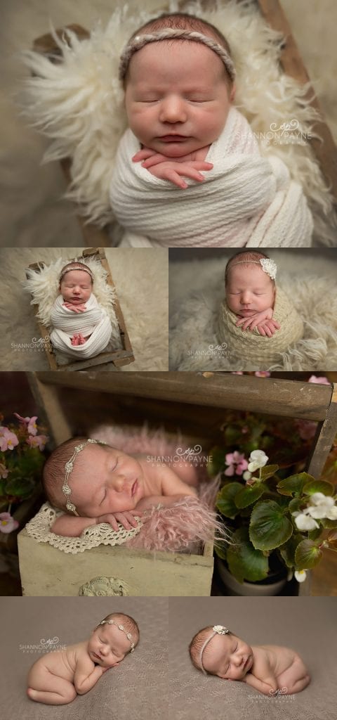 middletnpremiernewbornphotographer