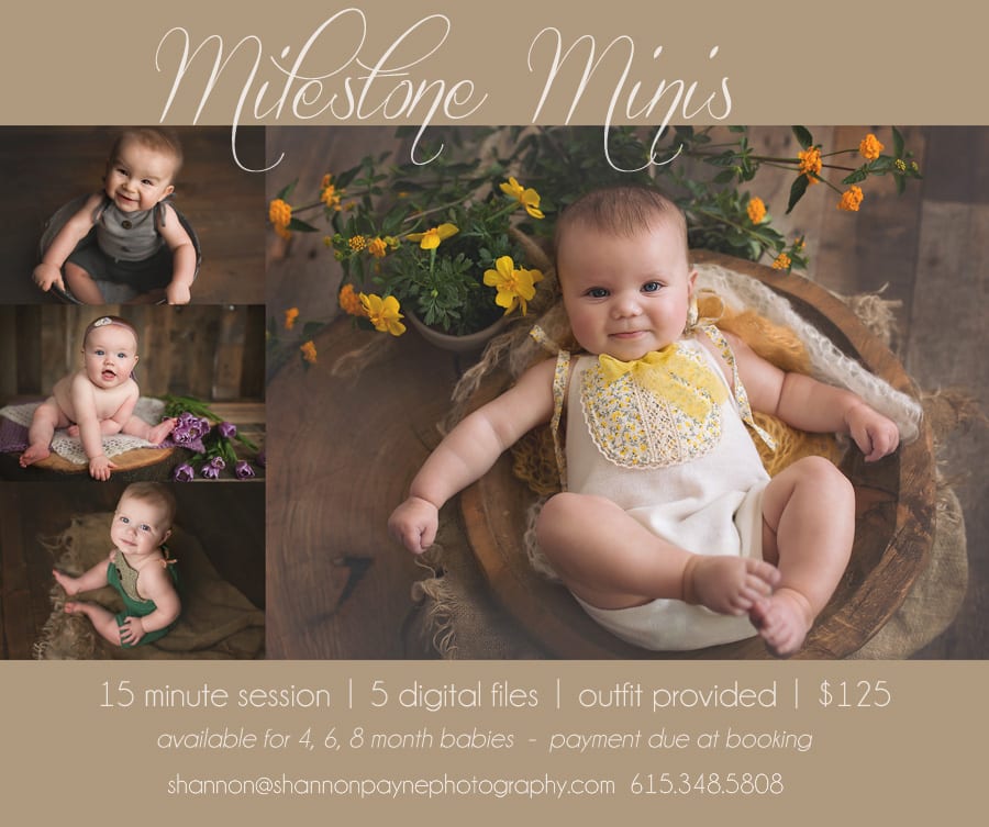 nashvillemilestoneminis