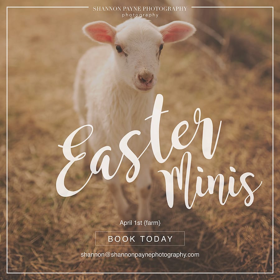 easterminisessionsnashville