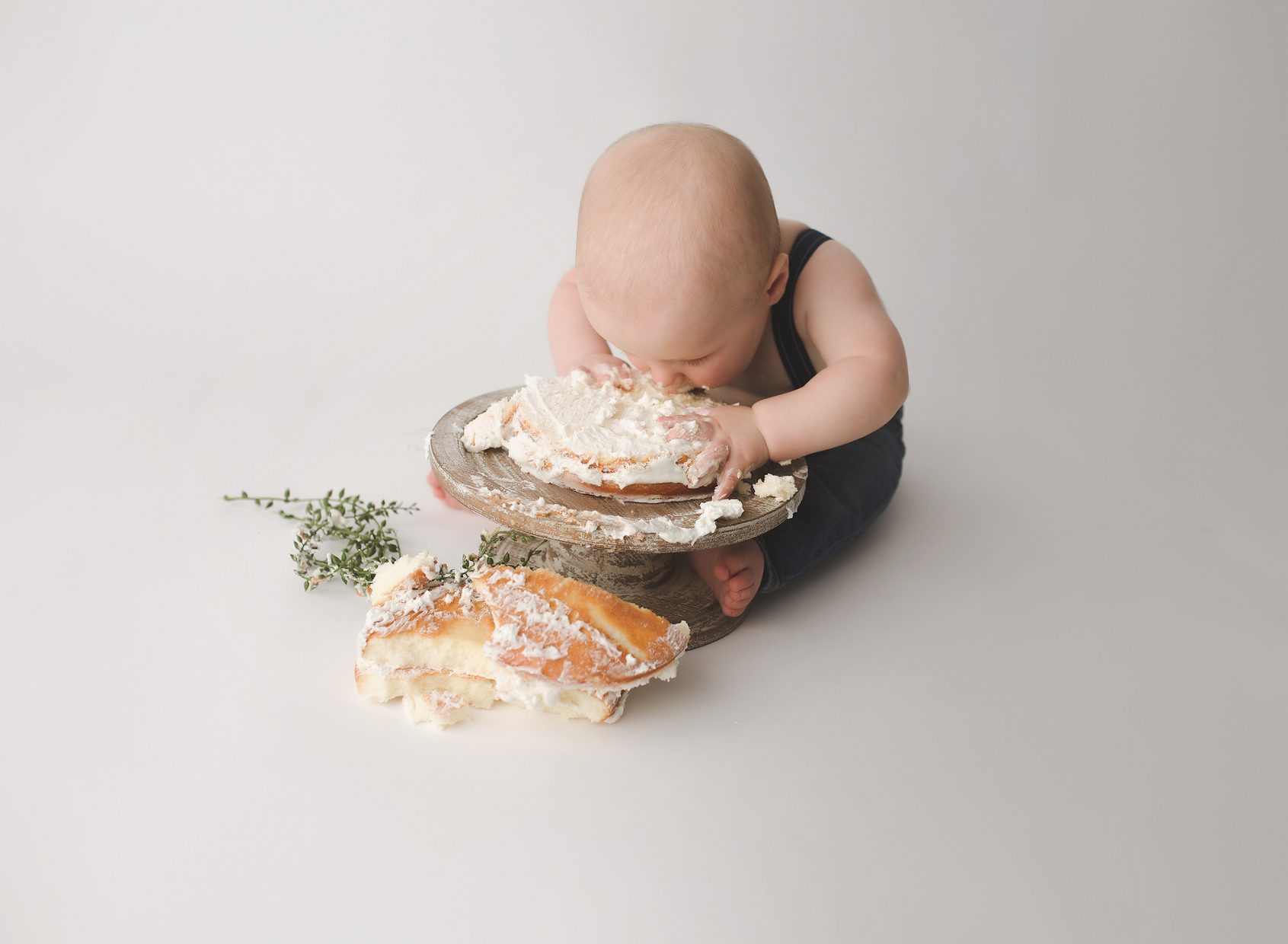 first birthday photography nashville