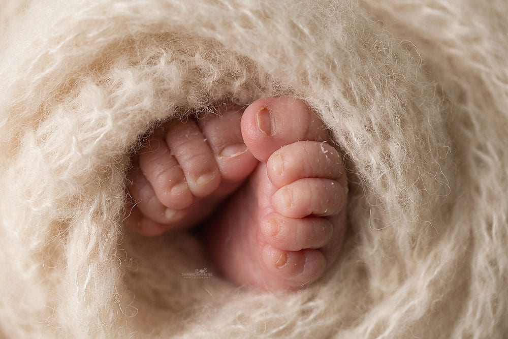 Maternity Newborn Photography Package