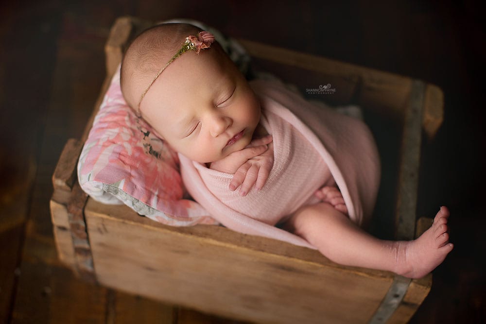  Hendersonville Newborn Photography Studio