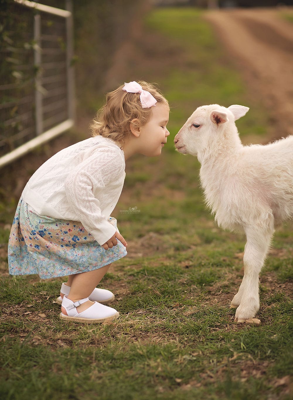  Top 10 Photos of 2018