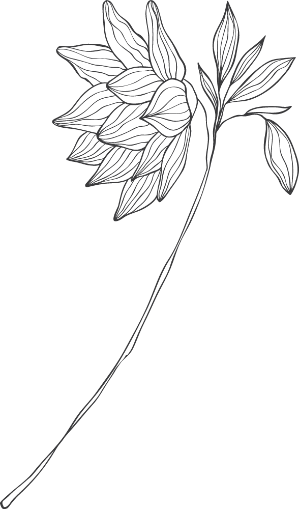 Asset-53 Nashville Maternity Newborn Photographer