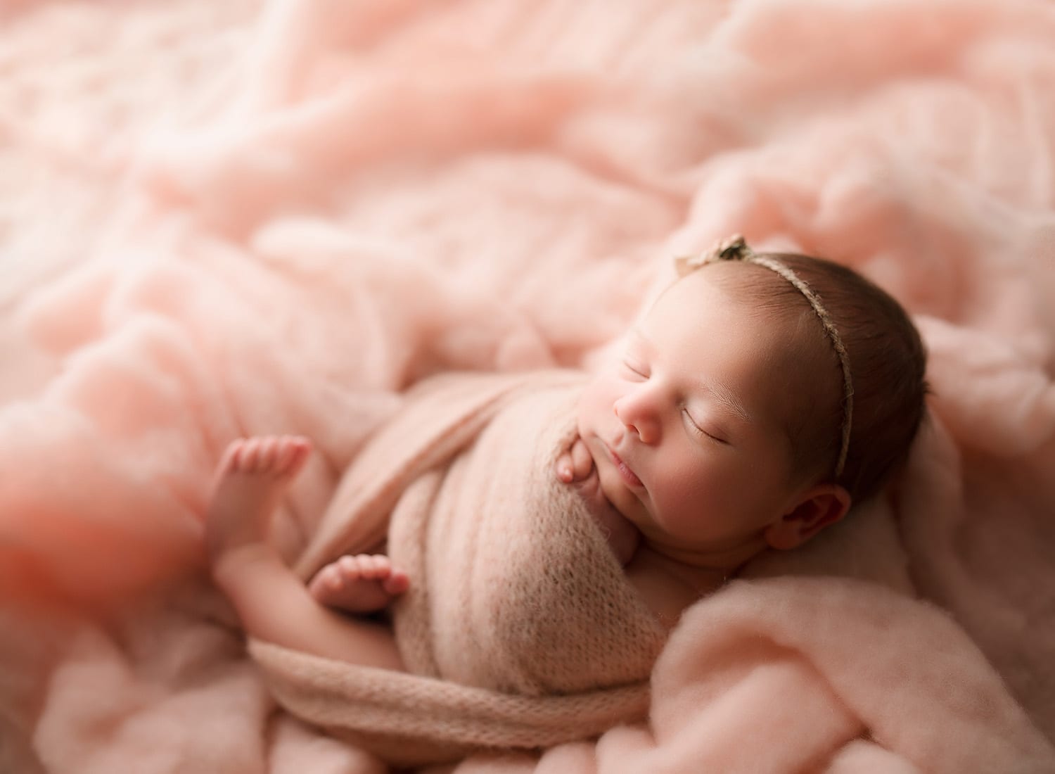newborn photographer nashville tn