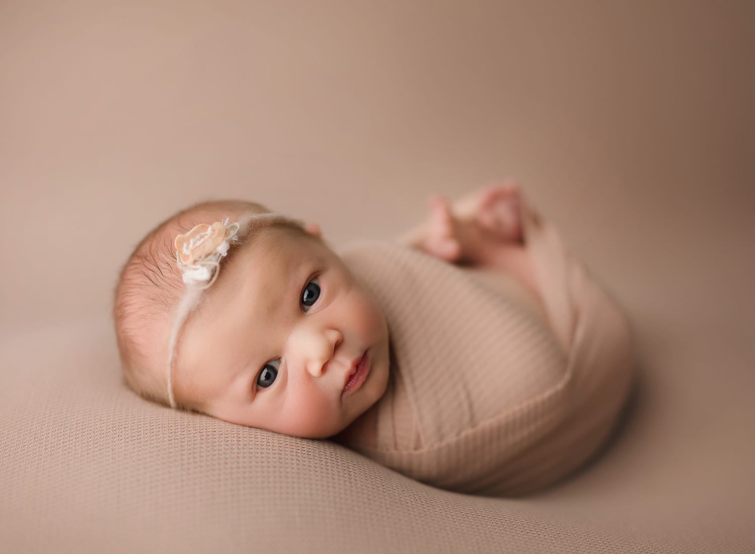 newborn photographer nashville tn