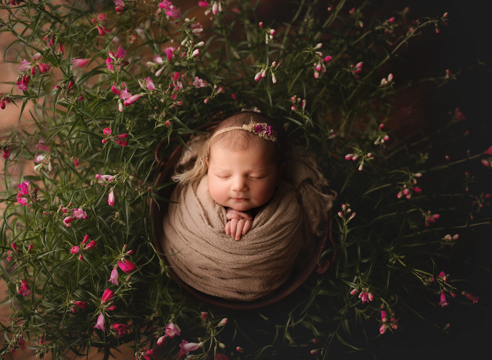 newborn photographer nashville tn