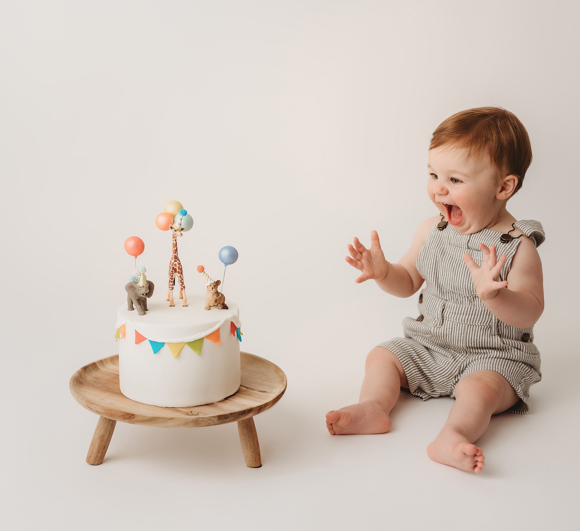  Planning First Year Birthday Pictures in Nashville