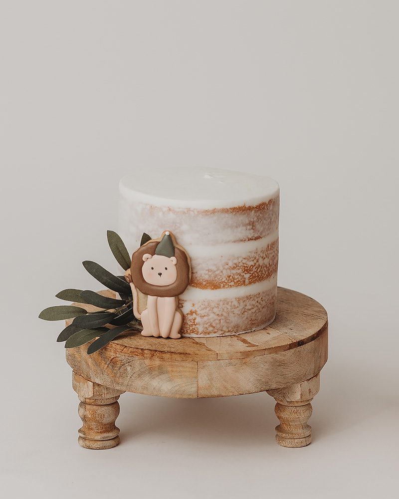  25 Smash Cake Ideas for 1st Birthday Photos