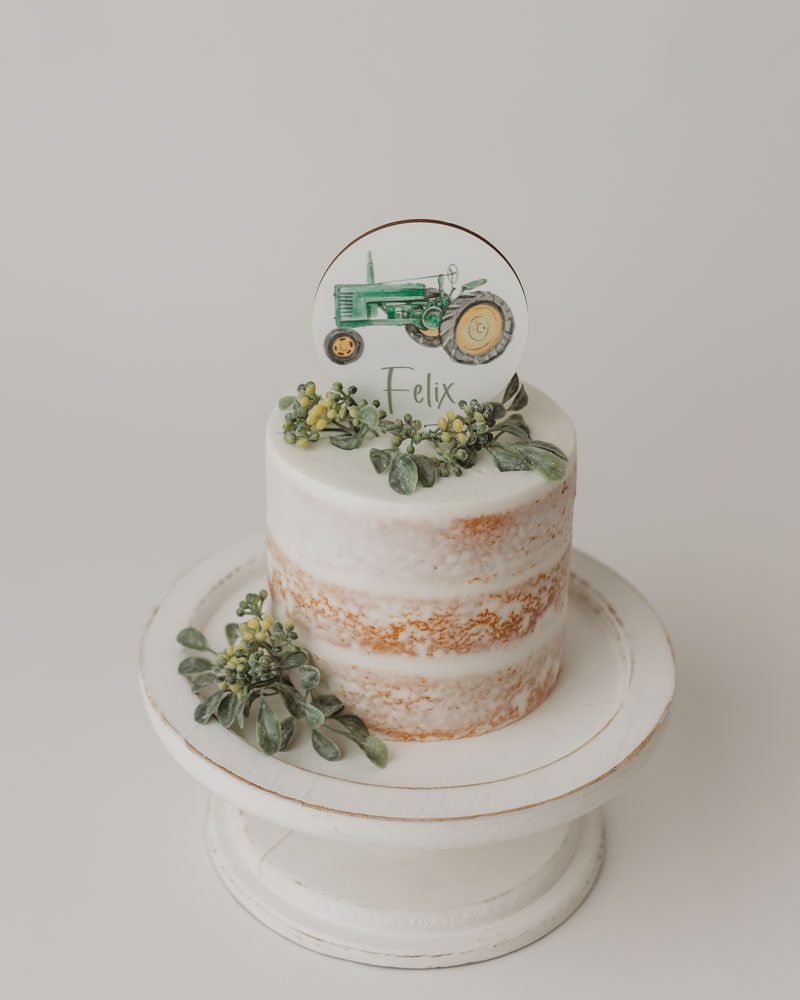  25 Smash Cake Ideas for 1st Birthday Photos