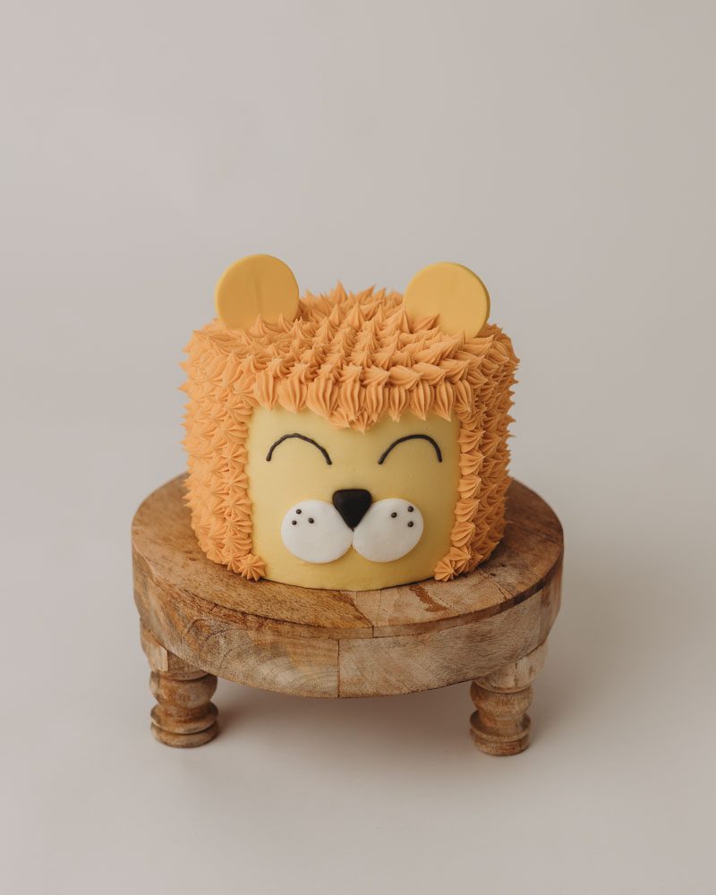  25 Smash Cake Ideas for 1st Birthday Photos