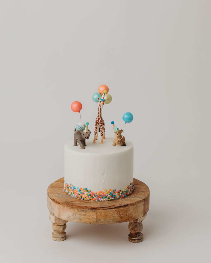  25 Smash Cake Ideas for 1st Birthday Photos