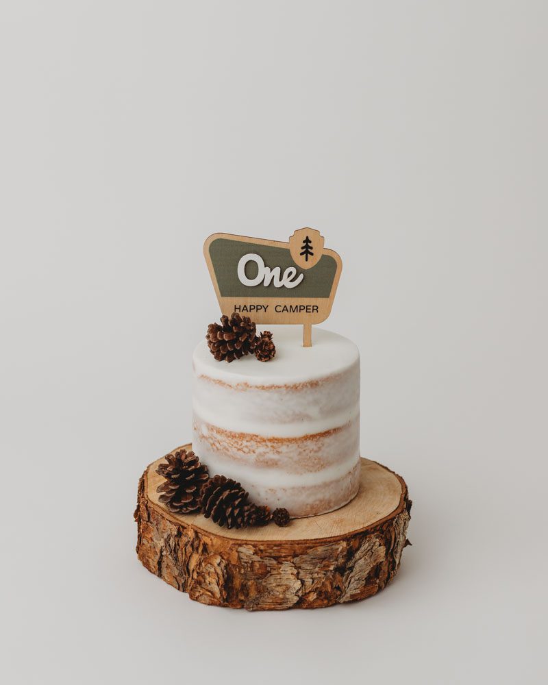  25 Smash Cake Ideas for 1st Birthday Photos