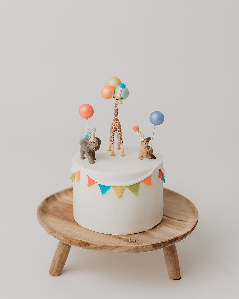 25 Smash Cake Ideas for 1st Birthday Photos